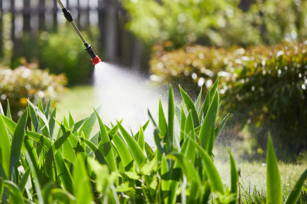 24/7 Emergency Wasp Removal experts in Macclenny, FL