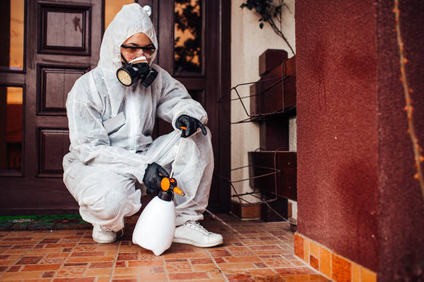 Reliable Wasp Removal contractor in Macclenny, FL by Show Me Pest Control