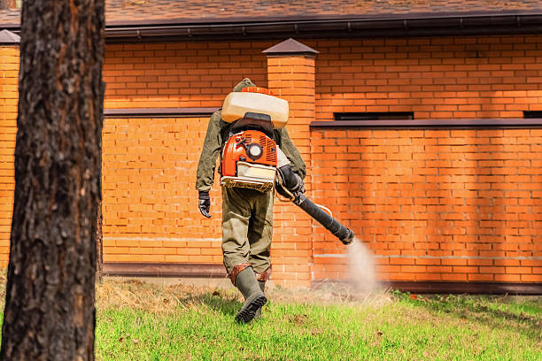Top rated local Wasp Removal specialists in Macclenny, FL